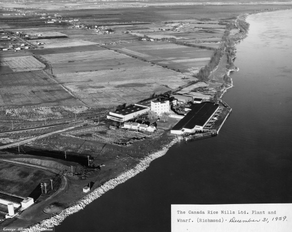 Canada Rice Mills plant and wharf, 1959. City of Richmond Archives Photograph 2010 87 27